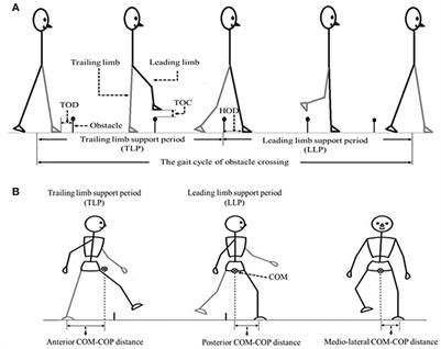 Identify the Alteration of Balance Control and Risk of Falling in Stroke Survivors During Obstacle Crossing Based on Kinematic Analysis